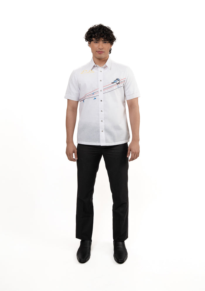 Men's Office Barong, Polyester-Cotton, Embroidered