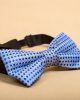 ONESIMUS-BOWTIE-BENZON000037-D