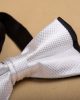 ONESIMUS-BOWTIE-BENZON000054-B